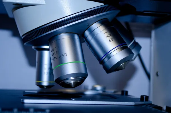 Mycoplasma Genitalium